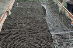 647075010_1341339984703179_278042280074910457_n