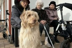 632776988_1325553639615147_2530016599631112325_n