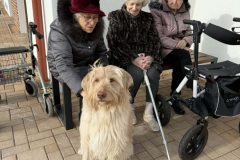 632871042_1325553672948477_6376840379809040041_n