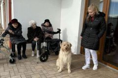 634757343_1325553629615148_1660747440925405813_n