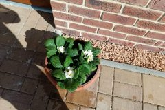 648228225_1345950124242165_7726325401292070255_n