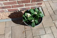 649209876_1345950080908836_1478849907112675732_n